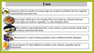 Immature fruits are tender at young stage are cooked or pickled; the low-sugared
matured fruits are eaten raw.
Sweet type which give out a musky flavor are eaten as a dessert and non-
sweet types are used as vegetable, i.e. the immature fruits
This nutritive and medicinal fruit is also used as a good summer drink since
it reduces heat from the body.
Seed kernel is used in bakery products and a traditional drink (thandai).
It has prospects of value addition in pickles, jam, chutney, squashes and as
dehydrated
 