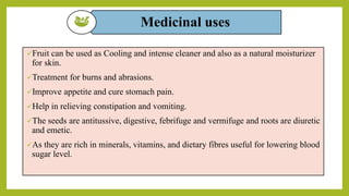 Medicinal uses
Fruit can be used as Cooling and intense cleaner and also as a natural moisturizer
for skin.
Treatment for burns and abrasions.
Improve appetite and cure stomach pain.
Help in relieving constipation and vomiting.
The seeds are antitussive, digestive, febrifuge and vermifuge and roots are diuretic
and emetic.
As they are rich in minerals, vitamins, and dietary fibres useful for lowering blood
sugar level.
 
