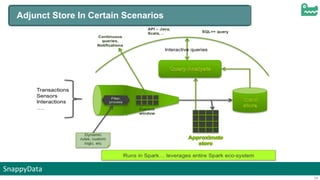 SnappyData
24
Adjunct Store In Certain Scenarios
 