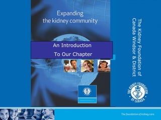 TheKidneyFoundationof
CanadaWindsor&District
An Introduction
To Our Chapter
 