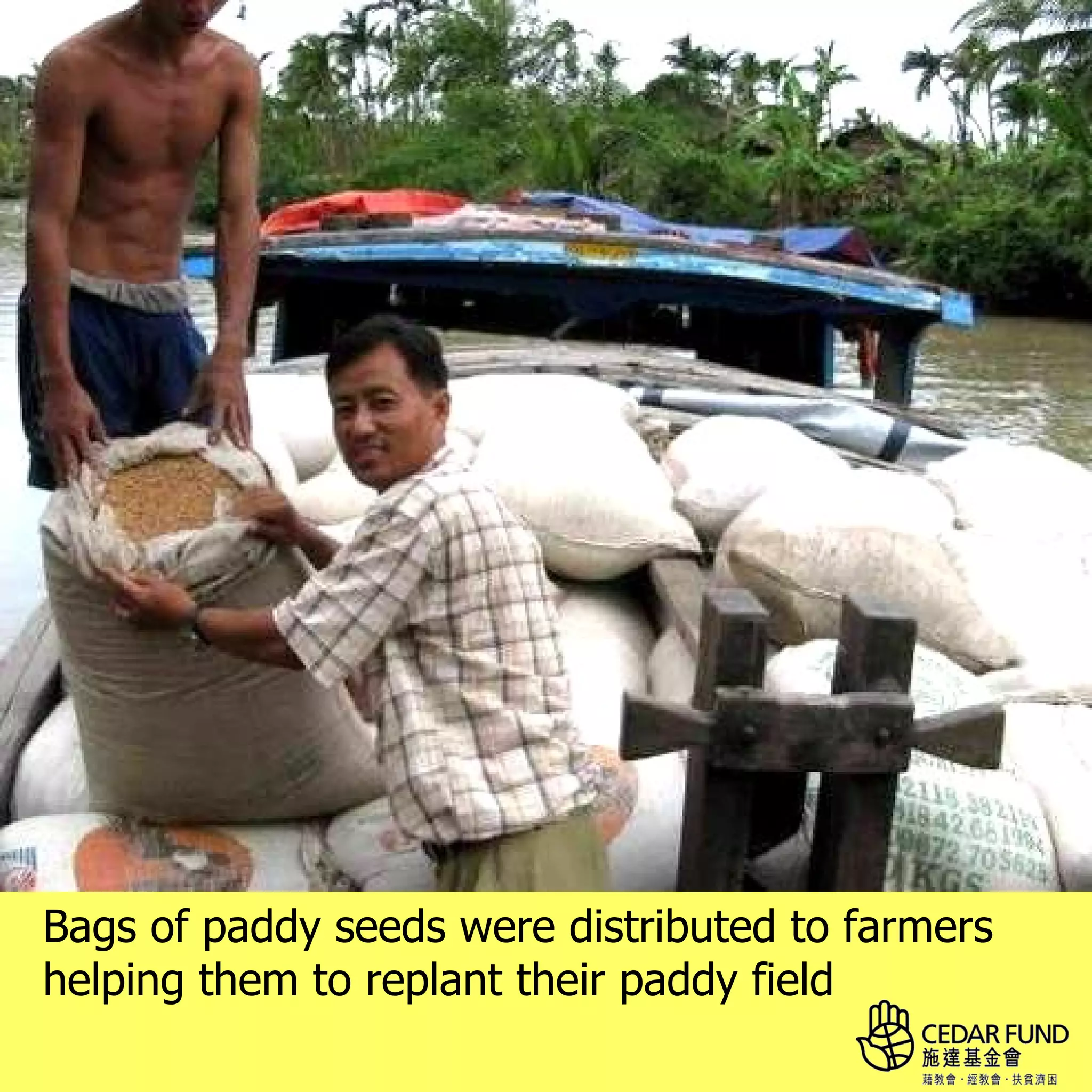 Bags of paddy seeds were distributed to farmers
helping them to replant their paddy field
 