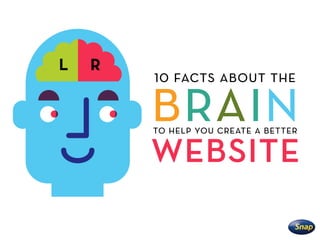 brain
10 facts about the
to help you create a better
website
 