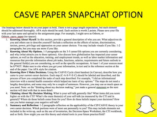 CASVE PAPER SNAPCHAT OPTION
 
