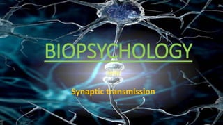BIOPSYCHOLOGY
Synaptic transmission
 