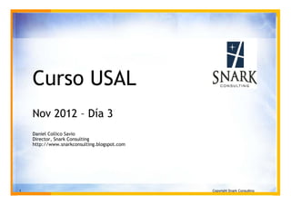 Curso USAL
    Nov 2012 – Día 3
    Daniel Collico Savio
    Director, Snark Consulting
    http://www.snarkconsulting.blogspot.com




1                                             Copyright Snark Consulting
 