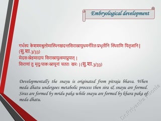 Embryological development
गर्वस्य क
े शश्मरितुलोमास्थिनखदन्तठसरास्नायुधमनीरेतःप्रर्ृतीठन स्थिराठण ठपतृजाठन |
(सु.शा.3/33)
मेदसःस्नेहमादाय ठसरास्नायुत्वमाप्नुयात् |
ठसराणां तु मृदुःपाकःस्नायनां चततः खरः | (सु.शा.3/33)
Developmentally the snayu is originated from pitraja bhava. When
meda dhatu undergoes metabolic process then sira & snayu are formed.
Siras are formed by mridu paka while snayu are formed by khara paka of
meda dhatu.
 