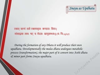 Snayu as Updhatu
रसात् स्तन्यं ततो रक्तमसृजः कण्डराः ठसराः|
मांसाद्वसा त्वचः षट् च मेदसः स्नायुसम्भवः|| (च. ठच.15/17)
During the formation of any Dhatu it will produce their own
upadhatu. Developmentally the medas dhatu undergoes metabolic
process (transformation), the major part of it convert into Asthi dhatu
& minor part forms Snayu upadhatu.
 