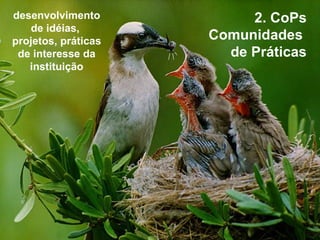 2. CoPs Comunidades  de Práticas desenvolvimento de idéias,  projetos, práticas de interesse da instituição 