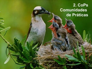 2. CoPs Comunidades  de Práticas 