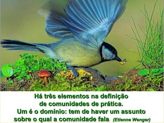 Há três elementos na definição  de comunidades de prática.  Um é o domínio: tem de haver um assunto  sobre o qual a comunidade fala .  (Etienne Wenger) 