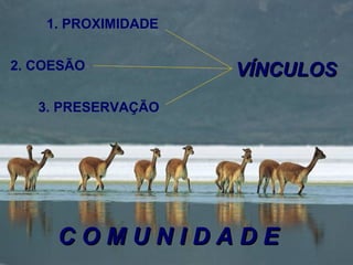 1. PROXIMIDADE   2. COESÃO 3. PRESERVAÇÃO VÍNCULOS C O M U N I D A D E 