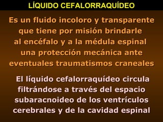 LÍQUIDO CEFALORRAQUÍDEO Es un fluido incoloro y transparente que tiene por misión brindarle  al encéfalo y a la médula esp...