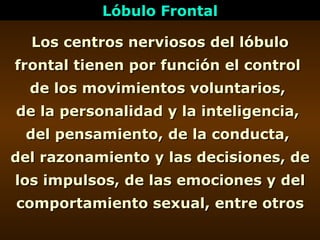 Lóbulo Frontal Los centros nerviosos del lóbulo frontal tienen por función el control  de los movimientos voluntarios,  de...