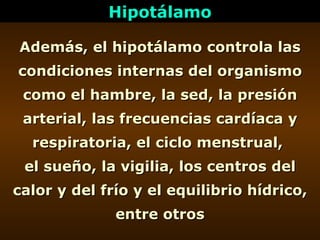 Hipotálamo Además, el hipotálamo controla las condiciones internas del organismo como el hambre, la sed, la presión arteri...