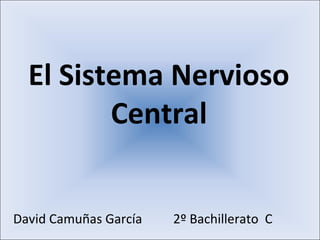 El Sistema Nervioso
         Central


David Camuñas García   2º Bachillerato C
 