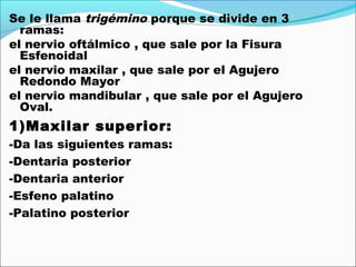 Se le llama trigémino porque se divide en 3
  ramas:
el nervio oftálmico , que sale por la Fisura
  Esfenoidal
el nervio maxilar , que sale por el Agujero
  Redondo Mayor
el nervio mandibular , que sale por el Agujero
  Oval.
1)Maxilar superior:
-Da las siguientes ramas:
-Dentaria posterior
-Dentaria anterior
-Esfeno palatino
-Palatino posterior
 