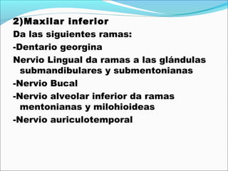 2)Maxilar inferior
Da las siguientes ramas:
-Dentario georgina
Nervio Lingual da ramas a las glándulas
  submandibulares y submentonianas
-Nervio Bucal
-Nervio alveolar inferior da ramas
  mentonianas y milohioideas
-Nervio auriculotemporal
 