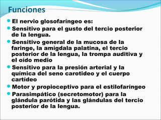 Funciones
El nervio glosofaríngeo es:
Sensitivo para el gusto del tercio posterior
 de la lengua.
Sensitivo general de la mucosa de la
 faringe, la amígdala palatina, el tercio
 posterior de la lengua, la trompa auditiva y
 el oído medio
Sensitivo para la presión arterial y la
 química del seno carotideo y el cuerpo
 cartídeo
Motor y propioceptivo para el estilofaríngeo
Parasimpático (secretomotor) para la
 glándula parótida y las glándulas del tercio
 posterior de la lengua.
 