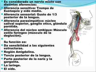 Es considerado un nervio mixto con
 distintas aferencias:
Aferencia sensitiva: Trompa de
 Eustaquio y oído medio.
Aferencia sensorial: Gusto de 1/3
 posterior de la lengua.
Aferencia parasimpático: núcleo
 salival superior, ganglio otico, glándula
 parótida.
Aferencia del núcleo ambiguo: Músculo
 estilo faríngeo (músculo de la
 deglución).

 Su función es:
Da sensibilidad a las siguientes
 estructuras.
Región Amigdalina.
Tercio posterior de la lengua.
Parte posterior de la nariz y la
 garganta.
La laringe.
El oído.
 