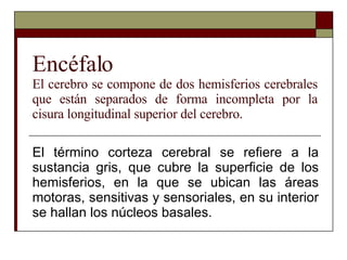 Encéfalo El cerebro se compone de dos hemisferios cerebrales que están separados de forma incompleta por la cisura longitudinal superior del cerebro. El término corteza cerebral se refiere a la sustancia gris, que cubre la superficie de los hemisferios, en la que se ubican las áreas motoras, sensitivas y sensoriales, en su interior se hallan los núcleos basales. 