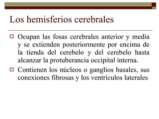 Los hemisferios cerebrales Ocupan las fosas cerebrales anterior y media y se extienden posteriormente por encima de la tienda del cerebelo y del cerebelo hasta alcanzar la protuberancia occipital interna. Contienen los núcleos o ganglios basales, sus conexiones fibrosas y los ventrículos laterales 
