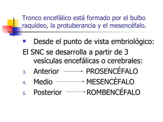 Tronco encefálico está formado por el bulbo raquídeo, la protuberancia y el mesencéfalo. Desde el punto de vista embriológico: El SNC se desarrolla a partir de 3 vesículas encefálicas o cerebrales: Anterior  PROSENCÉFALO Medio  MESENCÉFALO Posterior  ROMBENCÉFALO 