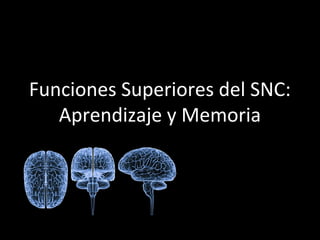 Funciones Superiores del SNC: 
Aprendizaje y Memoria 
 