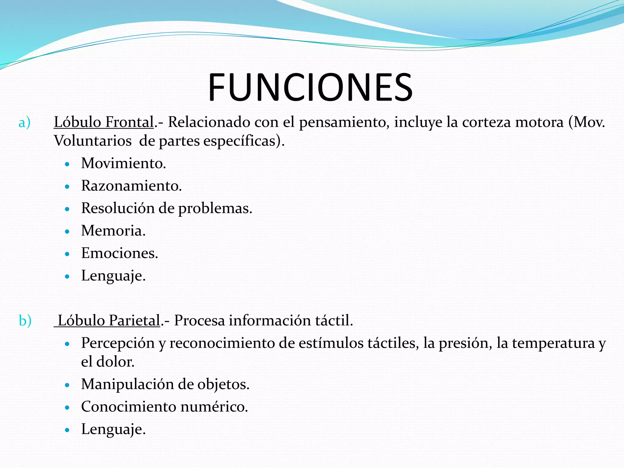 FUNCIONES 
a) Lóbulo Frontal.- Relacionado con el pensamiento, incluye la corteza motora (Mov. 
Voluntarios de partes específicas). 
 Movimiento. 
 Razonamiento. 
 Resolución de problemas. 
 Memoria. 
 Emociones. 
 Lenguaje. 
b) Lóbulo Parietal.- Procesa información táctil. 
 Percepción y reconocimiento de estímulos táctiles, la presión, la temperatura y 
el dolor. 
 Manipulación de objetos. 
 Conocimiento numérico. 
 Lenguaje. 
 