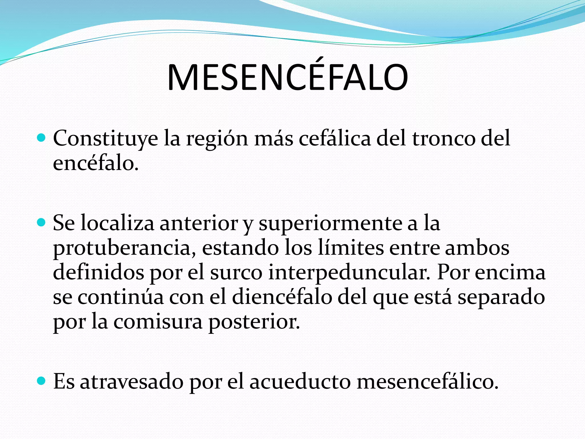 MESENCÉFALO 
 Constituye la región más cefálica del tronco del 
encéfalo. 
 Se localiza anterior y superiormente a la 
protuberancia, estando los límites entre ambos 
definidos por el surco interpeduncular. Por encima 
se continúa con el diencéfalo del que está separado 
por la comisura posterior. 
 Es atravesado por el acueducto mesencefálico. 
 