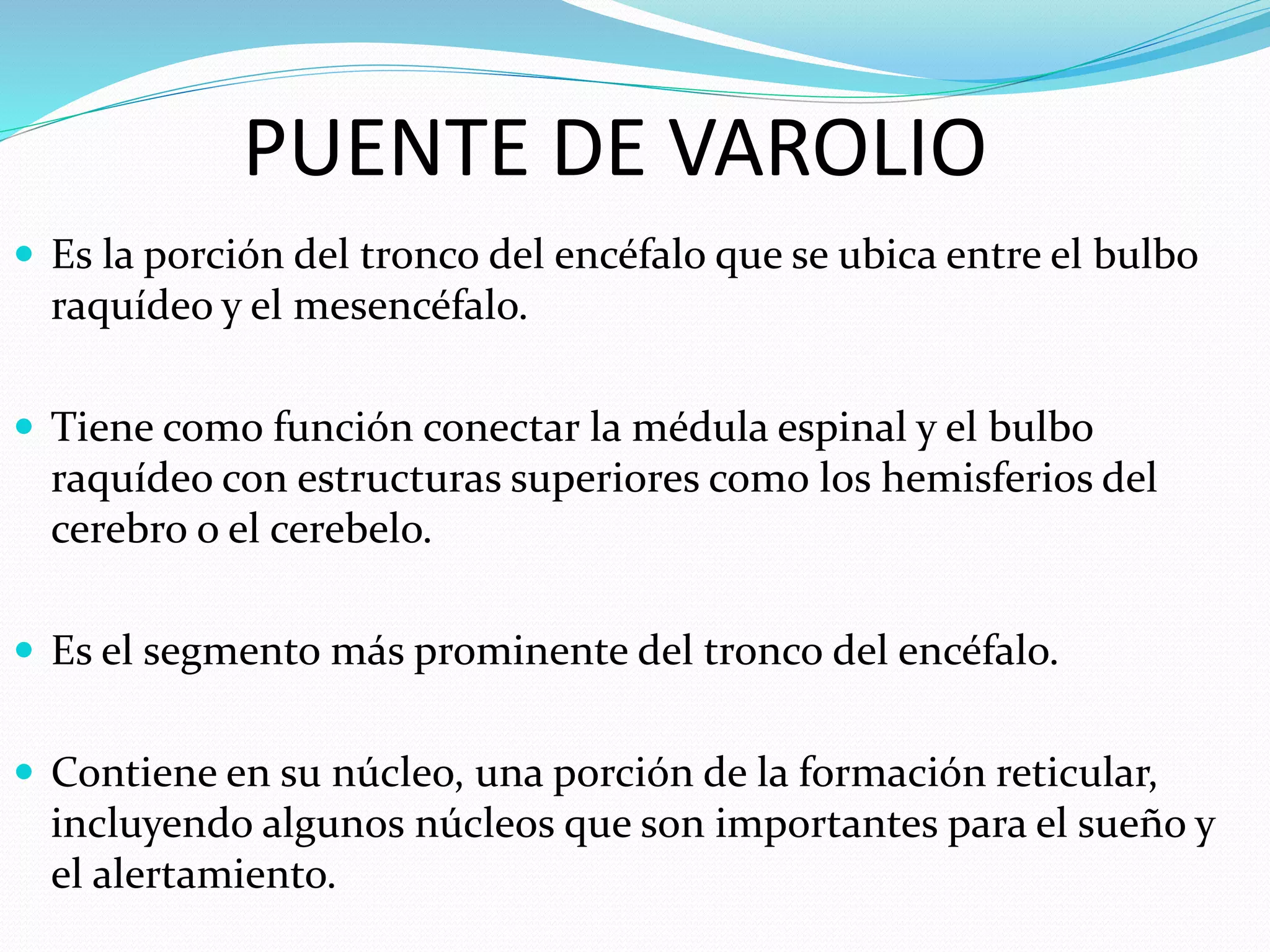 PUENTE DE VAROLIO 
 Es la porción del tronco del encéfalo que se ubica entre el bulbo 
raquídeo y el mesencéfalo. 
 Tiene como función conectar la médula espinal y el bulbo 
raquídeo con estructuras superiores como los hemisferios del 
cerebro o el cerebelo. 
 Es el segmento más prominente del tronco del encéfalo. 
 Contiene en su núcleo, una porción de la formación reticular, 
incluyendo algunos núcleos que son importantes para el sueño y 
el alertamiento. 
 