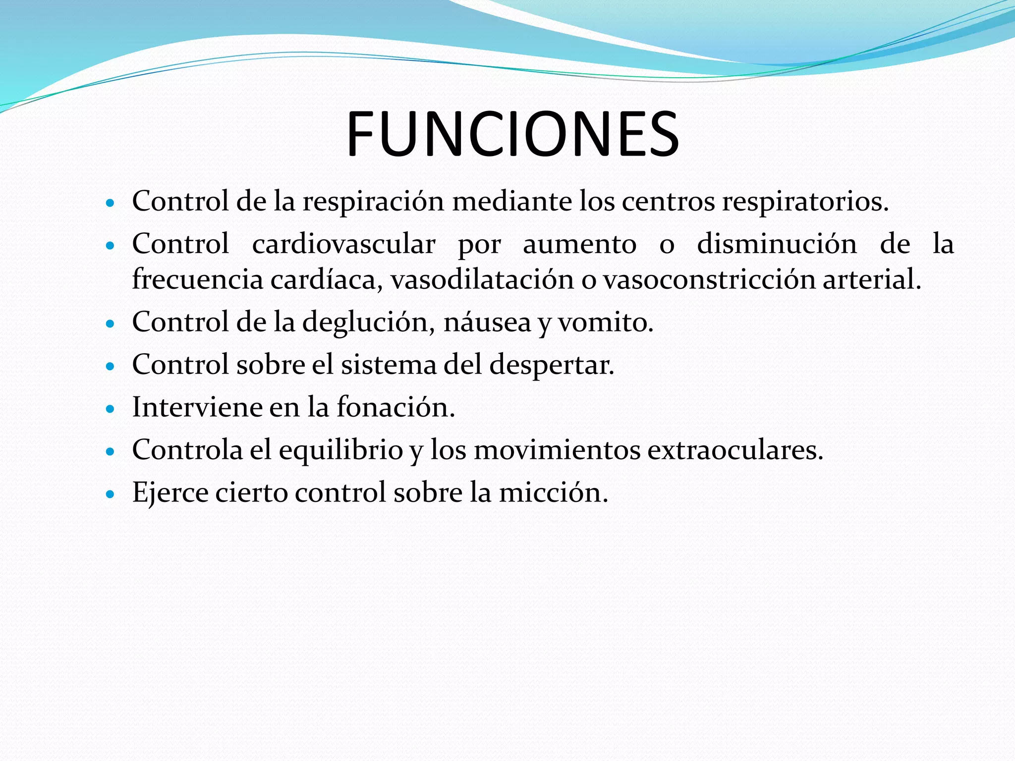 FUNCIONES 
 Control de la respiración mediante los centros respiratorios. 
 Control cardiovascular por aumento o disminución de la 
frecuencia cardíaca, vasodilatación o vasoconstricción arterial. 
 Control de la deglución, náusea y vomito. 
 Control sobre el sistema del despertar. 
 Interviene en la fonación. 
 Controla el equilibrio y los movimientos extraoculares. 
 Ejerce cierto control sobre la micción. 
 