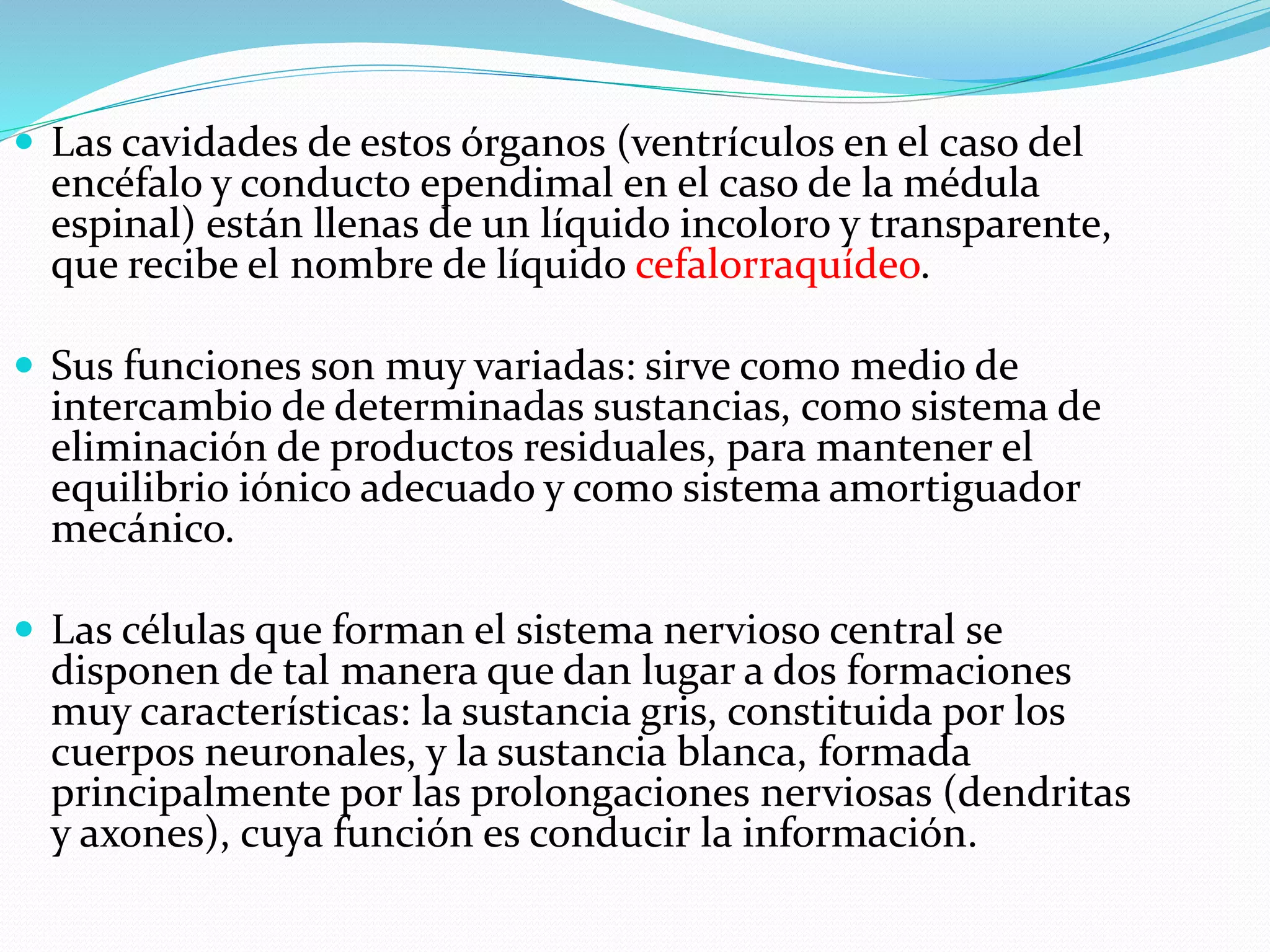  Las cavidades de estos órganos (ventrículos en el caso del 
encéfalo y conducto ependimal en el caso de la médula 
espinal) están llenas de un líquido incoloro y transparente, 
que recibe el nombre de líquido cefalorraquídeo. 
 Sus funciones son muy variadas: sirve como medio de 
intercambio de determinadas sustancias, como sistema de 
eliminación de productos residuales, para mantener el 
equilibrio iónico adecuado y como sistema amortiguador 
mecánico. 
 Las células que forman el sistema nervioso central se 
disponen de tal manera que dan lugar a dos formaciones 
muy características: la sustancia gris, constituida por los 
cuerpos neuronales, y la sustancia blanca, formada 
principalmente por las prolongaciones nerviosas (dendritas 
y axones), cuya función es conducir la información. 
 