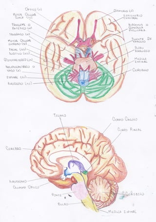 f(tou¿§ o
Qo.Éttto §u)
1$,roínrcp tv)
Ho¡oQ. Ocu).»§.
áxrflarto trl
txc,rsl tr¡ tt)
NoDrrrvo Lrtttl
GoeotNur§6EO (,¡¡)
Neo{nooFaTglco o
TGÓ TX
t6P§NL [xr)
IrooGtotD Lxü)
§pa,¿t[o ,_
toroR
Qortt»
raotFIFRO
D.o'»otlF
Oprrcc¡ Cril
Oco¡-pl.
(irr)
Txi^»rto
T¡roRro LL)
A srtrt+¿ RIO
Cr.RE OQFL
Hr9cirrars o
GIpuDDLN
Qrf s,r Í:ql N ,
?t,¿b.rTE Dg
A6OLIO
Oobo
fi Xo,i¡rD go
M¿ou¡.Ir
E ¡pr r't AL
CzQYgulo
Conpo Corooo
BoRPo Pis¡rlrL
i,$r Á, stto
ÓPr rto
t
Souoo-H§
'i- EouL» E ¡prN§L
 