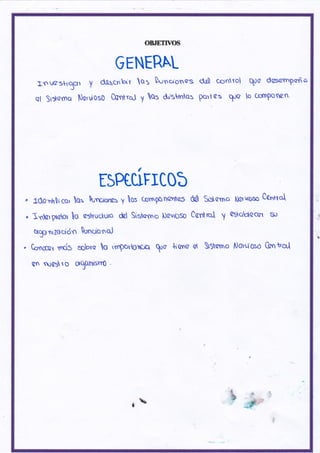 OEIE'ITYOS
GENERAL
t,s§cstiScrr Y dqug6bir
ql Sr¡lomq NcrüosO COcrtro)
qs Dt¡neronos
y as &shnos
cIÑ conlrol
portas qre
qoo dgsarnpafr a
lo c.DmPoncn.
ESPCUFICOb
do) S$arno txru'o§o Cantrc'
Carfrrol y otqvlccef g.)
Iüonhltcs¡ Qs $tnc,otrcs y os (orrP§nontc5
ltr+ar praor Io a:lyucluro &l Sisecno §evr0s0
§rgu nizo cidn bnctono.l
Co.ctccgr mdS sgbyc o ,mportOrC¡q loo {r ono
As t1¡@5ro O$üIrrsYn0
at §:orno Noruroso Csnt'ql
óa
d
l
 