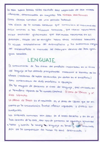 LCI tuu>o Srpcrior lornoOo ndclco cqpdodo Gcf sc:porcrclo de <)os sroqs
i'n$¿.,6f€S, dCsornrncrt>s 6¿.r- coc.jOnto )re oúclaos tenV'Qornn¿s
tstos úl+trnos c-erns*a.n de oya porcion q*.ero"
LO§ dracs óa [o c.o¡teZci Cerebrol 1ae c-qcnrc¡l.cr.n e. eño{rvnrrZntg
@rríar, o,.o.ñes q. os núq¡¡q-ss k¡oso1eS , Tré tct¡era ae)orofuqns
ynr"sor . exc¡*aÓO r g oternoto. 1.9 es+r rnr.¡Lc¡cr ra)YC)f{)S en @ 
P.rtqrrC§. , dagde okr{ Se c!..'n$Acr ¡cero ovos nt5cleos bos,o.Ies .
U núcl@ srrbtod¡¡1¡c6 det cfl'er.ad$el o y 1o S¡3stcrñG-a ...q"trq
&t masencá{olo c,- "cnen.,d<¡
Qho-s bosoles.d
sc rcl.r¡y€:n dentro de }og
LEN GUA] L
t-} ocnocirntanb & o= drsos dqt encdlo.Io. ruoluc6.óos ..n er clrc¡q
dat en3ucya ss hon ob,tqnido prinepslyncnte, .oñcct¡q.^to a qstucL,i(, óe [o:
q$osss ( lro>kornos da ho!:to prs duc-dos p6ts dañoo 6ñ c e.cdpqro )
comS C,r.¡n§ac¡-¡@rc¡q óor doú @ cp$dh". o ?opt@jr.a.
[,hn o sno.or(o & porsonq> et ciroo. ._3urru or p@,§oq> et oroO &t tOngoo¡C
i c::{ci ubtcoc}o e;r¡
et ho"n,dcrio iuqu@óo de 1o co*tozo. corobrql, tJ d,rcq
ciraq r,,crnrckc,
"-( LoY'rs¿L1'L.,ro'rqr' u órcq fc Sro.o y ql
Lo Alosto dc Srcco : cs d tcst¡ltodcr a1 er éorc & Brccq 9,,a se eñ -
clrofil tq gñ'cr crrconuolocrcn $rorr ol ts.§orio. izq,rr.crda. y d¡ @o.S cJ r-
cuodon{os.
Lo> §n¡rnqS ocrn..ryos son dotor Cn d lofozg dqz:rG.ho y en Gn o
qc)o darcc*'to dp )o cofq i G[a hp<> & pcr:oros v yf].¡es;trq rqn.,e.,t*,
"'
.t nobor y oranóo o so.a¡ bc engoo)a
^ r.* §
-#*b-e^,od6
Ar5n o>í lq c,osñprostón óar qbto .oo 6tcí dato¡_to¡odo. *
 