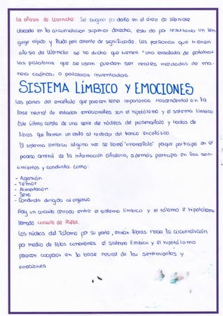 Lq oQosio do Navni'ckg: 3a sn$irs pr doño an @l ciwo do Ulanicke
UbtCOdo g§ )C, crrconvoluclon s.)Porro d@reho, ASto do F§ rasotqcb t¡n [en
g%c rcipióo
) ltuióo poo mrode & oi9icodo. Los pelsq).ñcs qro h'@^n@n
o$o Sio da Dornicks * o dr'dno qr@ ha.nsn r uno eosolodo ds po¡oWc.r
Los po.Io.¡ros qpa S@ usa pueden Sar rao.IeS ¡nqz¿aclo,s & §nq.
rQICr CcróhCO., o PoJqbros talve.Cltcrclos.
Sr¡tEtlA LimBrco y LrtmtoNtb
LOs por{cs dol oncálo}o Qu( parc'cc"n tcfrc¡ fmportcrnob {r'ascrnÓan{ol en q
losq nadrqt do aslqde errocrO¡plaS Sn el hrpdélorrO y el sdomo tt'mb'co
tS{a úllimo corr¡cr da uncr son@ dc núcteos &t proscrrca'&do y {udos do
U,bros !W 0orrrctn un onilo o, radodor del tonc¡ Cnca{dtt'co
ü stgarnc, t(rn§c.o olXuno va sE tlornCí'y(ne^ndkJo" Poquo prtrctp, an Q'
procaso Cerrm d! )A inlorr¡ouón OQototiar Odamds parhopo' en Uos scñ-
+irrriariloÉ y conducl'q. C'cmo',
- Aura:tón
- rcJrnor
- Alitnonloc^ón
Vxo
- ücnd»do d^'ts,do ot o§eho
tlO5 ¡,n q¡rcr.rilo ¡prro6O Cr¡|¡o al sr§ecrs límbr'c,o Y ¿¡ 6[tOmO g Y" POdh0nr,
tlorrq6t crrcrri{o dc FePo¿"
Los nuctos dol Tcilomo Pt su Po*o , enuon
pr rrodro do 9¡los corori0nes ¿[ 3is'tor¡n
pro@n @FO @ k bose rQ'UrO.! do
CnnOCrOnA"S
óth
Qrbtqs YTuo o cl'rconvoucrón.
llmbco y al htpotá t orno
o, geirHmionos y
t
 