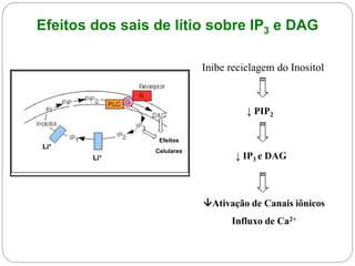 Li+
Li+
Efeitos
Celulares
Inibe reciclagem do Inositol
↓ PIP2
↓ IP3 e DAG
Ativação de Canais iônicos
Influxo de Ca2+
Efeitos dos sais de lítio sobre IP3 e DAG
 