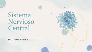 Sistema
Nervioso
Central
Dra. Tatiana Buitrón S.
 