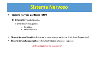 Sistema Nervoso
4) Sistema nervoso periférico (SNP)
b) Sistema Nervoso Autônomo
É dividido em duas partes:
I. Simpático
II. Parassimpático
Sistema Nervoso Simpático: Prepara o organismo para o estresse (instinto de fuga ou luta)
Sistema Nervos Parassimpático: Estimula atividades relaxantes (repouso)
Ações antagônicas no organismo!
 