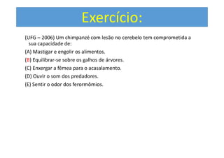 Exercícios
(UFG – 2006) Um chimpanzé com lesão no cerebelo tem comprometida a
sua capacidade de:
(A) Mastigar e engolir os alimentos.
(B) Equilibrar-se sobre os galhos de árvores.
(C) Enxergar a fêmea para o acasalamento.
(D) Ouvir o som dos predadores.
(E) Sentir o odor dos ferormômios.
Exercício:
 