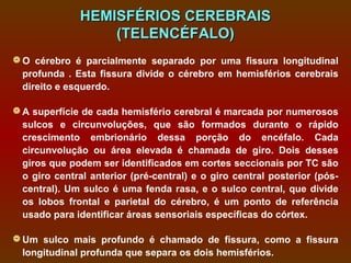 HEMISFÉRIOS CEREBRAIS
                  (TELENCÉFALO)
 O cérebro é parcialmente separado por uma fissura longitudinal
  profunda . Esta fissura divide o cérebro em hemisférios cerebrais
  direito e esquerdo.

 A superfície de cada hemisfério cerebral é marcada por numerosos
  sulcos e circunvoluções, que são formados durante o rápido
  crescimento embrionário dessa porção do encéfalo. Cada
  circunvolução ou área elevada é chamada de giro. Dois desses
  giros que podem ser identificados em cortes seccionais por TC são
  o giro central anterior (pré-central) e o giro central posterior (pós-
  central). Um sulco é uma fenda rasa, e o sulco central, que divide
  os lobos frontal e parietal do cérebro, é um ponto de referência
  usado para identificar áreas sensoriais específicas do córtex.

 Um sulco mais profundo é chamado de fissura, como a fissura
  longitudinal profunda que separa os dois hemisférios.
 