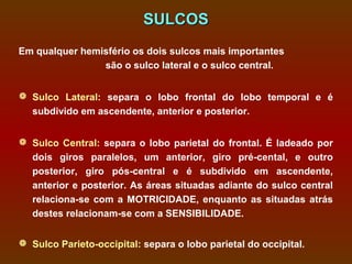 SULCOS
Em qualquer hemisfério os dois sulcos mais importantes
                são o sulco lateral e o sulco central.


 Sulco Lateral: separa o lobo frontal do lobo temporal e é
  subdivido em ascendente, anterior e posterior.


 Sulco Central: separa o lobo parietal do frontal. É ladeado por
  dois giros paralelos, um anterior, giro pré-cental, e outro
  posterior, giro pós-central e é subdivido em ascendente,
  anterior e posterior. As áreas situadas adiante do sulco central
  relaciona-se com a MOTRICIDADE, enquanto as situadas atrás
  destes relacionam-se com a SENSIBILIDADE.


 Sulco Parieto-occipital: separa o lobo parietal do occipital.
 