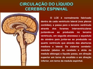 CIRCULAÇÃO DO LÍQUIDO
  CEREBRO ESPINHAL

                  O LCE é normalmente fabricado
        dentro de cada ventrículo lateral (nos plexos
        coróides), e passa para o terceiro ventrículo
        através    dos    forames    interventriculares
        juntando-se      ao   produzido   no   terceiro
        ventrículo, em seguida atravessa o aqueduto
        do cérebro para juntar-se ao produzido no
        quarto ventrículo que através das aberturas
        mediana e lateral. Da cisterna cerebelo-
        medular (abaixo do cerebelo e atrás da
        medula oblonga) o líquido passa, em direção
        superior em torno do encéfalo e em direção
        inferior, em torno da medula espinhal.
 