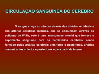 CIRCULAÇÃO SANGUÍNEA DO CÉREBRO


       O sangue chega ao cérebro através das artérias vertebrais e
das artérias carótidas internas, que se comunicam através do
polígono de Willis, este é uma anastomose arterial que fornece o
suprimento sangüíneo para os hemisférios cerebrais, sendo
formado pelas artérias cerebrais anteriores e posteriores, artérias
comunicantes anterior e posteriores e pela carótida interna.
 