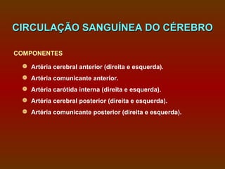 CIRCULAÇÃO SANGUÍNEA DO CÉREBRO

COMPONENTES

  Artéria cerebral anterior (direita e esquerda).
  Artéria comunicante anterior.
  Artéria carótida interna (direita e esquerda).
  Artéria cerebral posterior (direita e esquerda).
  Artéria comunicante posterior (direita e esquerda).
 