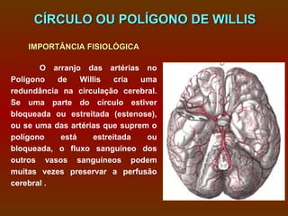 CÍRCULO OU POLÍGONO DE WILLIS

    IMPORTÂNCIA FISIOLÓGICA

       O arranjo das artérias no
Polígono   de    Willis    cria uma
redundância na circulação cerebral.
Se uma parte do círculo estiver
bloqueada ou estreitada (estenose),
ou se uma das artérias que suprem o
polígono    está     estreitada  ou
bloqueada, o fluxo sanguíneo dos
outros vasos sanguíneos podem
muitas vezes preservar a perfusão
cerebral .
 