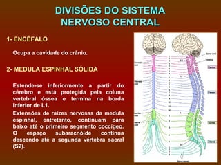 DIVISÕES DO SISTEMA
                 NERVOSO CENTRAL
1- ENCÉFALO

 Ocupa a cavidade do crânio.


2- MEDULA ESPINHAL SÓLIDA

 Estende-se inferiormente a partir do
 cérebro e está protegida pela coluna
 vertebral óssea e termina na borda
 inferior de L1.
 Extensões de raízes nervosas da medula
 espinhal, entretanto, continuam para
 baixo até o primeiro segmento coccígeo.
 O     espaço    subaracnóide   continua
 descendo até a segunda vértebra sacral
 (S2).
 