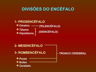 DIVISÕES DO ENCÉFALO

1- PROSENCÉFALO
 Cérebro      (TELENCÉFALO)
 Tálamo
 Hipotálamo   (DIENCÉFALO)




2- MESENCÉFALO

3- ROMBENCÉFALO               TRONCO CEREBRAL
 Ponte
 Bulbo
 Cerebelo
 