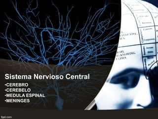 Sistema Nervioso Central 
•CEREBRO 
•CEREBELO 
•MEDULA ESPINAL 
•MENINGES 
 