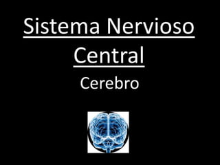 Sistema Nervioso Central Cerebro 